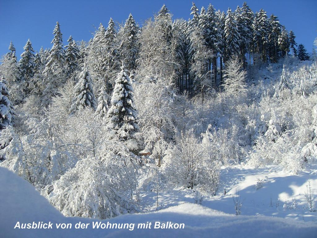 Gaestehaus Buendge Kamschlacken ภายนอก รูปภาพ